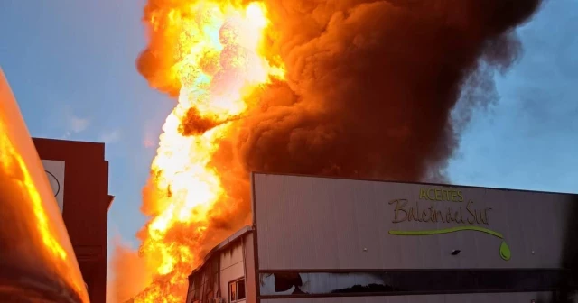 Un incendio devora las instalaciones de una fábrica de aceite de oliva en Lucena