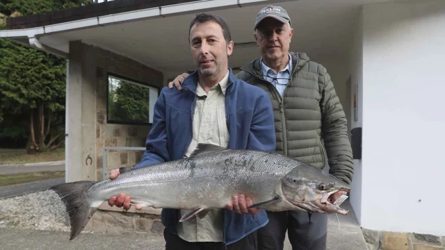 La fiebre por el último salmón español 'en venta': "Por 19.000€ a ver quién es el guapo que no lo mata"