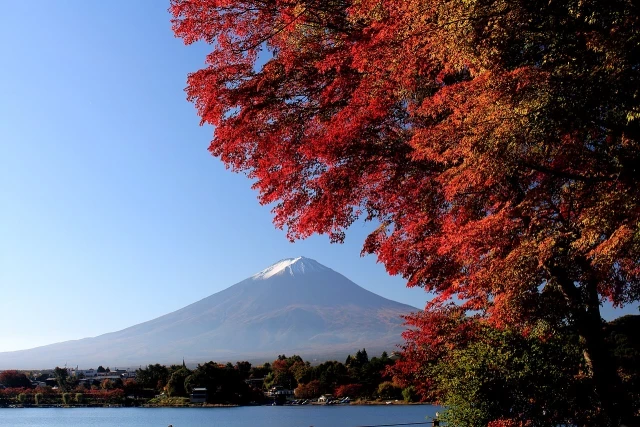 Pueblo japonés colocará una pantalla negra para evitar que turistas hagan fotos del Monte Fuji