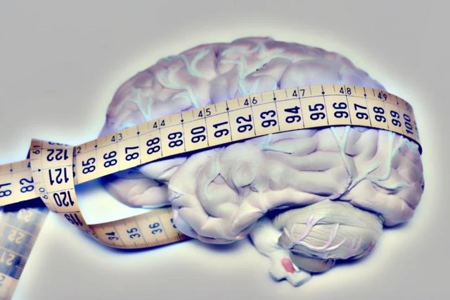El cerebro humano ha crecido en las últimas décadas: ¿qué significa para nuestra inteligencia? - BBC News Mundo