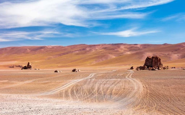Descubren «biósfera» oculta bajo el desierto de Atacama, el lugar más seco del planeta