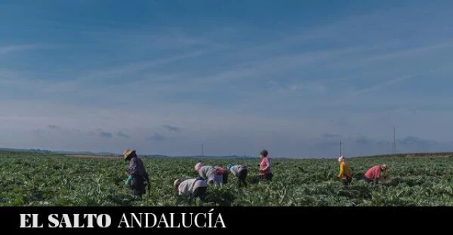 El mapa laboral en Andalucía: desempleo, abusos y trabajadoras “acostumbradas a sufrir”