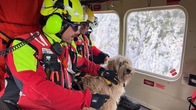 Cantabria: rescatan con helicóptero una perra atrapada en un precipicio [CAT]