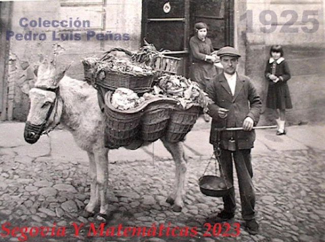 Vendedores ambulantes con burro en Segovia