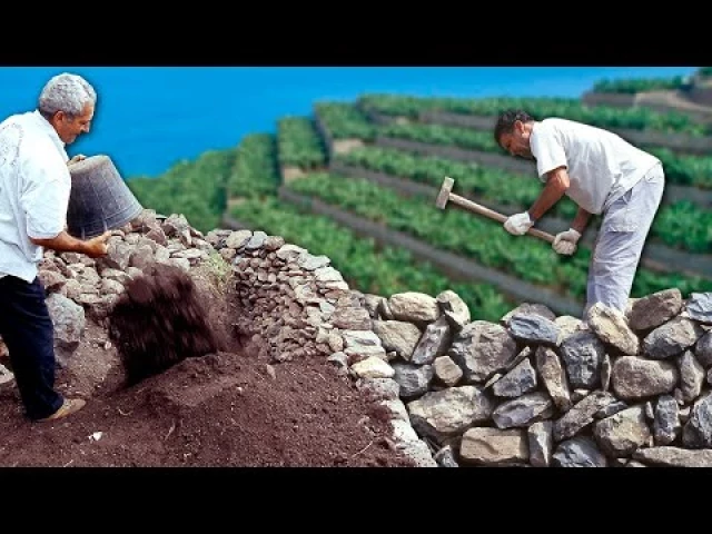 Los paredones. Muros de piedra para nivelar terrenos inclinados en una isla y poder cultivar