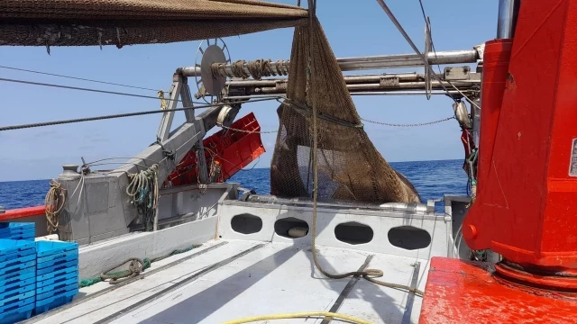 España prohíbe la pesca de arrastre del Mediterráneo a más de 800 metros de profundidad