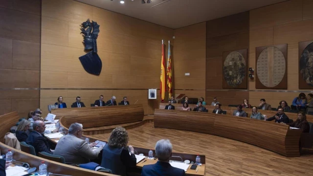 Diputación de Valencia: Vox tiene en la diputación seis asesores para asistir a sus dos diputados