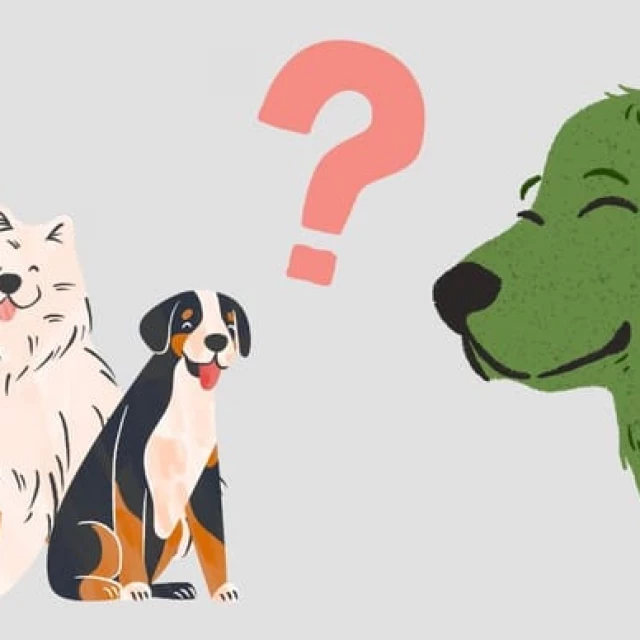 Ser más raro que un perro verde: origen de la expresión