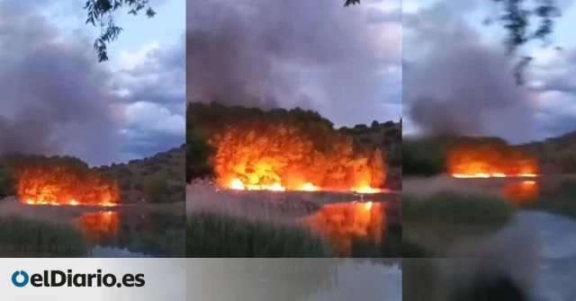 Extinguido el incendio en las lagunas de Ruidera: ha tenido hasta tres focos diferentes
