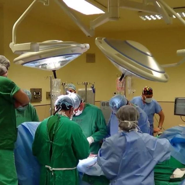 Muere paciente que recibió el primer trasplante de riñón de cerdo genéticamente modificado