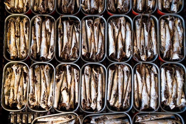 El sector conservero espera por la anchoa patagónica y ya sufre las importaciones