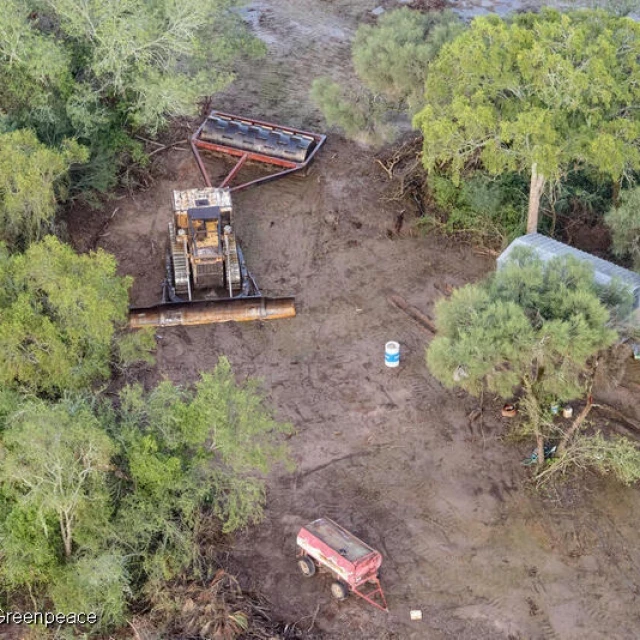 Así se ve la deforestación en Argentina en 10 fotos impactantes