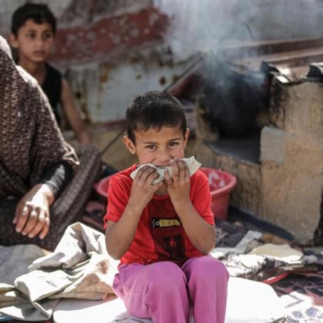 Gaza: Suspenden la distribución de ayuda alimentaria en Rafah