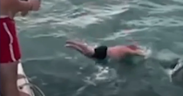 Multado por saltar desde un barco al mar para golpear con su cuerpo a una orca en peligro de extinción: "Es un ejemplo flagrante de estupidez"
