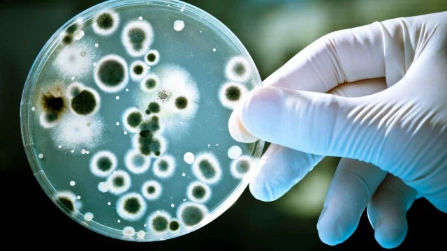 Más de 750.000 muertes al año por resistencia a los antimicrobianos podrían evitarse según un estudio