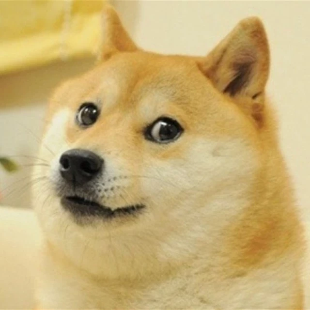 Muere Kabosu, la icónica perra meme que has visto infinidad de veces en Internet
