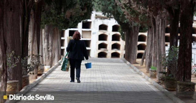 Cadáveres en bolsas a la vista y ataúdes y coronas apiladas en el cementerio de Sevilla