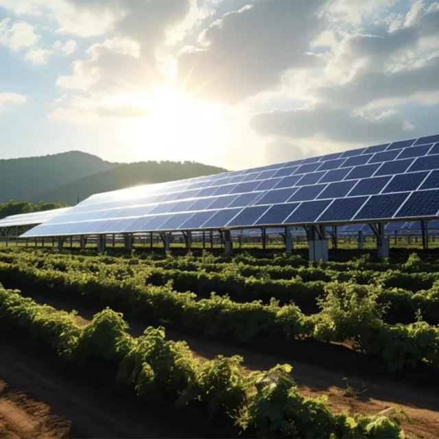La fotovoltaica arrasa y se convierte por primera vez en la mayor fuente de electricidad en España