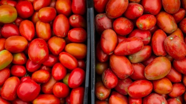 El tomate, más caro que el asado | Por la ola polar, aumentó 200 por ciento