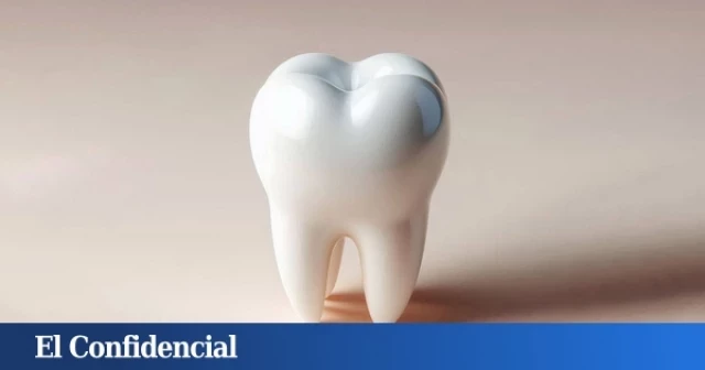 El medicamento que regenera los dientes perdidos se probará en humanos en septiembre