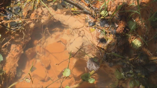 Organizaciones ecologistas denuncian a una empresa por contaminar en la Mina de Touro