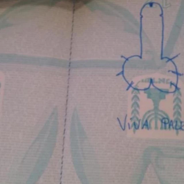 Oficial chileno pro-palestino dibujó un pene en mi pasaporte [ENG]