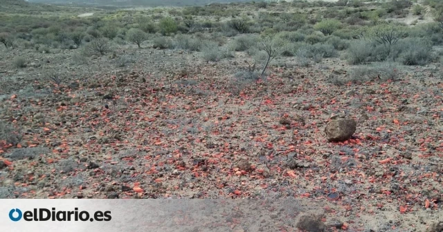 Ecologistas alertan de posibles daños en el patrimonio arqueológico causados por un campeonato estatal de caza en Tenerife