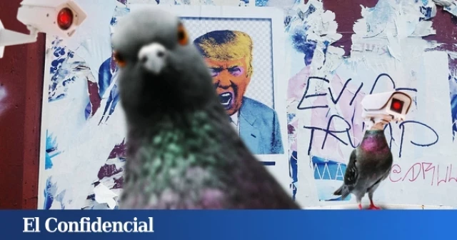 'Los pájaros no son reales': un movimiento artístico promagufos te está troleando