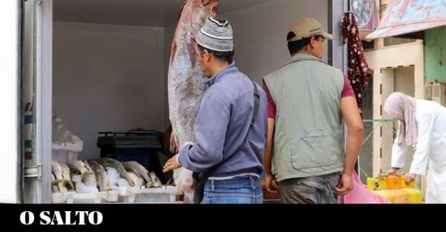 Seis empresas gallegas, partícipes del expolio pesquero en el Sáhara Occidental