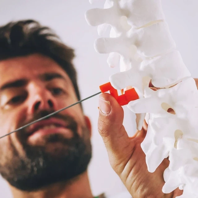 Investigadores andaluces crean huesos artificiales en 3D muy semejantes a los reales