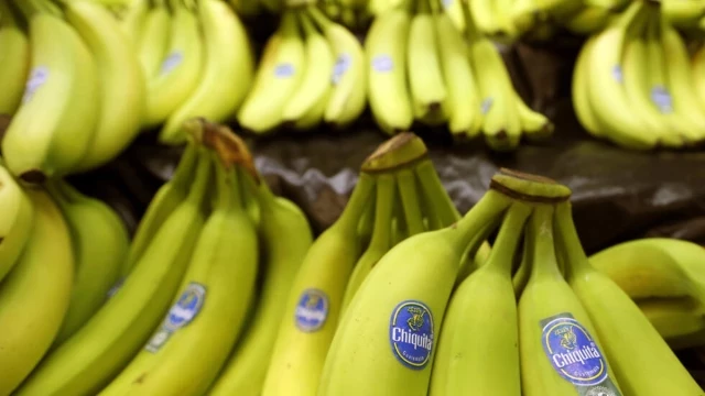 Histórico fallo en Florida contra la bananera Chiquita por financiar paramilitares en Colombia