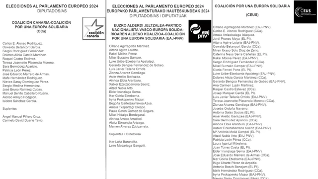 Los canarios que votaron a Coalición Canaria no vieron en sus papeletas que estaban apoyando a una eurodiputada del PNV