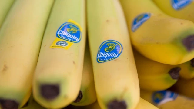 La sangrienta historia de la financiación de Chiquita Brands a un grupo paramilitar de Colombia