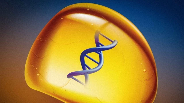 El MIT desarrolla una biomemoria capaz de almacenar ADN a largo plazo