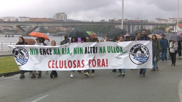 Miles de personas se manifestaron en Pontevedra contra las celulosas de ENCE y Altri  (GAL)