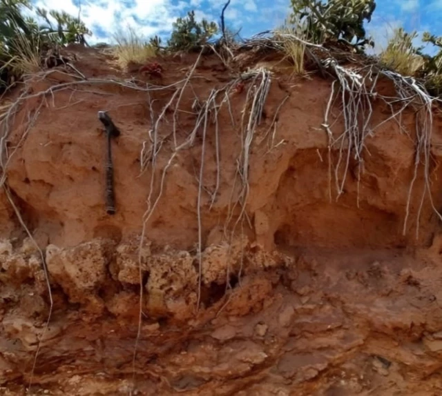 Descubren termiteros en Sudáfrica habitados desde hace 34.000 años