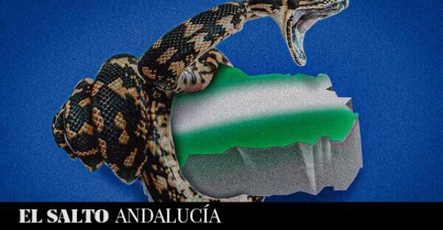 Andalucía: medio millón de ultraderechistas y 3,5 millones de abstencionistas, ¿cómo hemos llegado hasta aquí?
