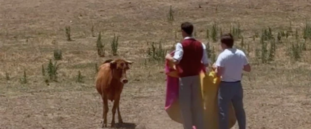 Almeida sorprende en redes toreando a una vaquilla a campo abierto
