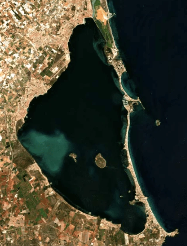 La mancha blanca del Mar Menor arrasa con la vegetación y amenaza la vida de muchas especies