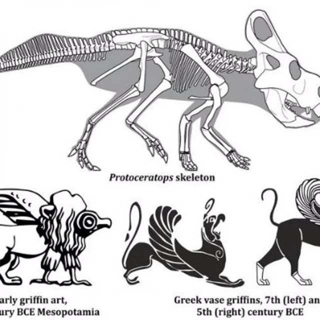 La mitología del grifo no proviene de fósiles de dinosaurios
