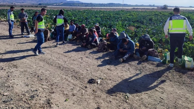 Más de cuarenta detenidos por explotación laboral en fincas agrícolas de Alhama y La Hoya