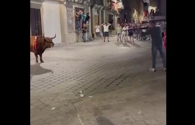 VIDEO - Asesinan de un tiro a un toro en Coria, así ha sido la increíble imagen del municipio