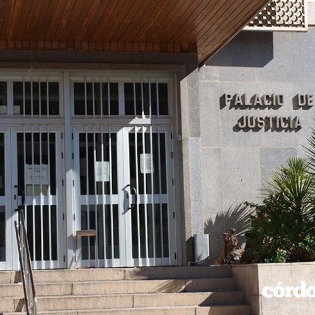 APDHA pide prisión e inhabilitación para dos agentes de la Policía Local de Córdoba por delitos de detención ilegal, contra la integridad moral, falsedad, denuncia falsa y lesiones