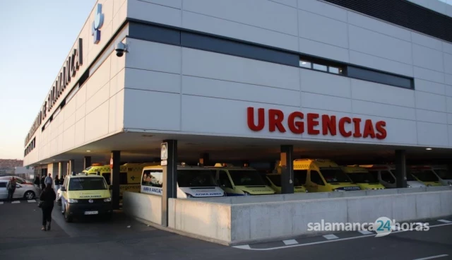 Trasladan al Hospital de Salamanca a una mujer en "estado inconsciente" al ser golpeada por una vaca en Diosleguarde