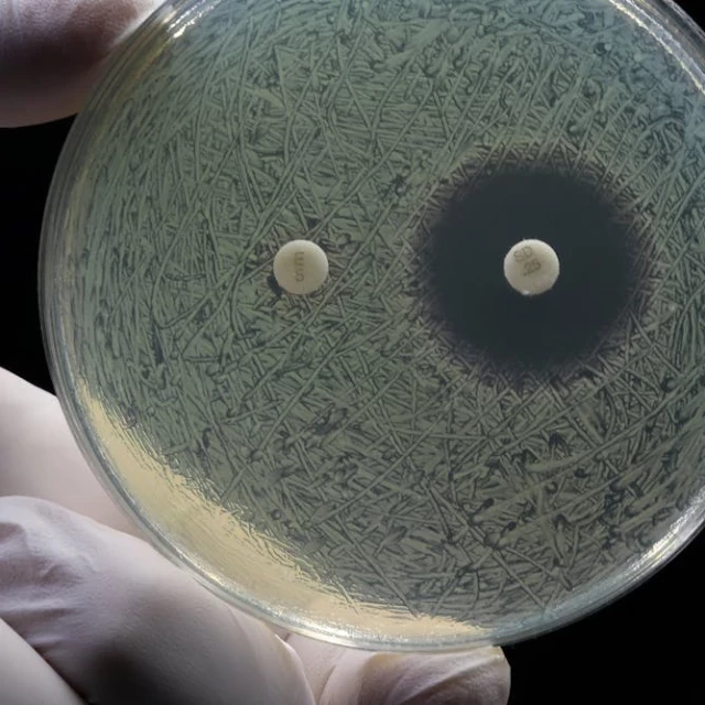 Nuevos antibióticos: tres buenas noticias en la guerra contra las superbacterias