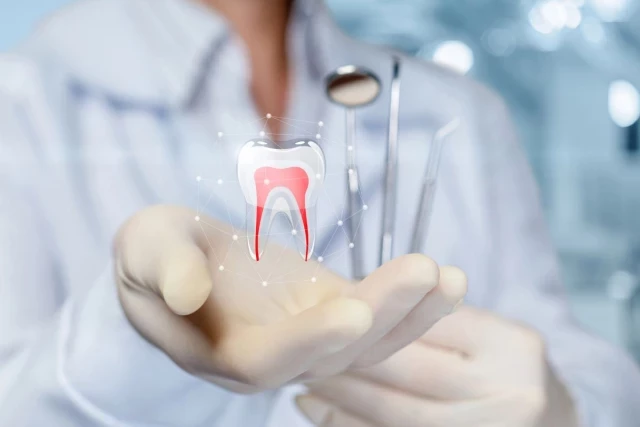 El primer fármaco del mundo para regenerar los dientes se administrará a los humanos en septiembre