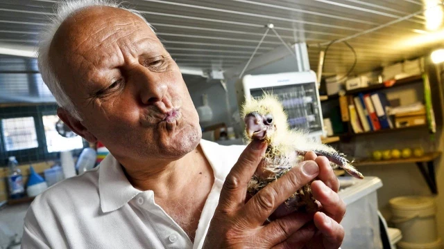 Los criadores de aves exóticas decomisadas que murieron en el zoo de Vigo se querellan contra el Seprona