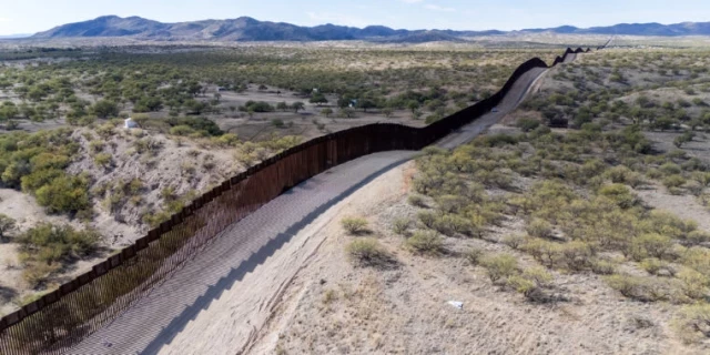 Naturaleza interrumpida: Impacto del muro fronterizo entre EE.UU. y México en la vida salvaje (ENG)