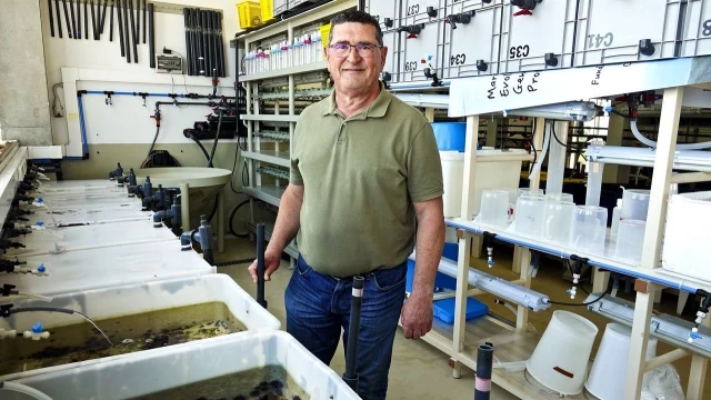 El científico pionero en la cría de langosta en cautividad en las Rías Baixas