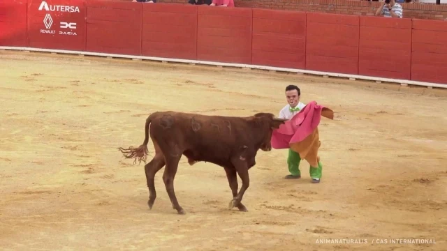 El espectáculo 'Popeye torero' trae la polémica a Teruel: "Es una bufonada"